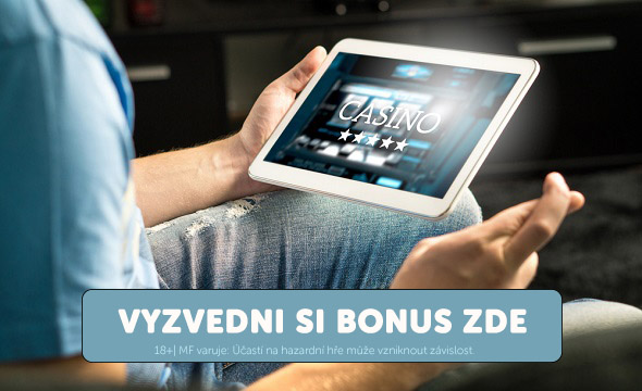 sázení u zahraničních sázkových kanceláří 17